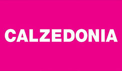 Calzedonia - Proslava preduzeća